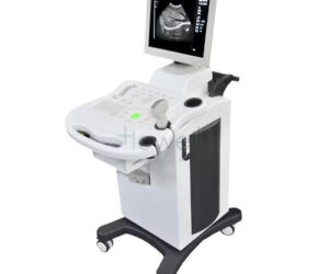 B/W Ultra Sound